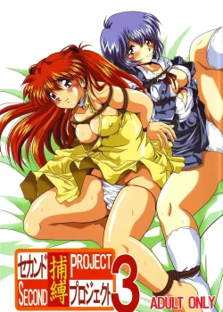 Page 2 of Second Hobaku Project 3