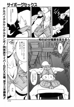 Page 113 of H no Aru Fuukei