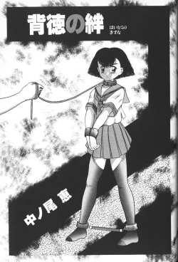 Page 43 of Himitsu no Chikashitsu Vol.2