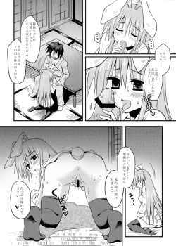 Page 15 of Iede Usagi.