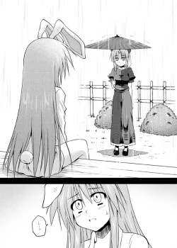 Page 21 of Iede Usagi.