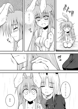 Page 22 of Iede Usagi.