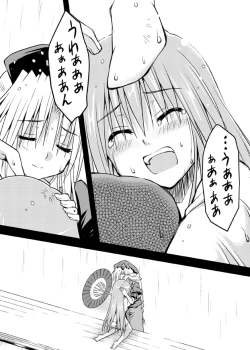 Page 24 of Iede Usagi.