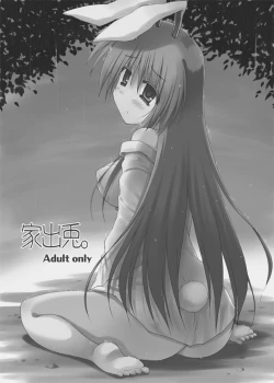 Page 2 of Iede Usagi.