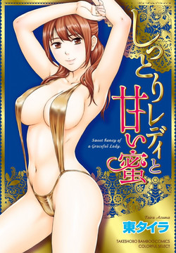 Download Shittori Lady to Amai Mitsu