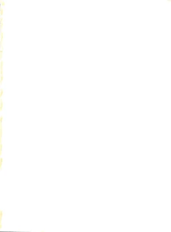 Page 2 of Zubizu Bat