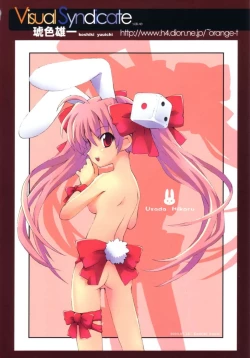 Page 2 of Colorful USAGIRL