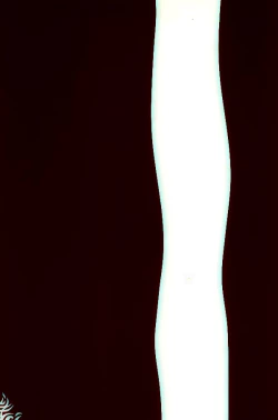 Page 31 of Taiiku Kyoushi no Shitsuke Kata