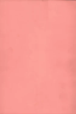 Page 3 of Hatsujou Harlem Note - Estrus Harlem Note