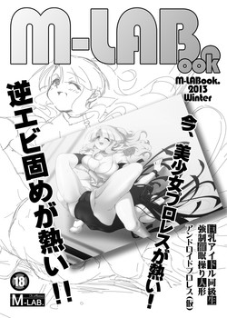 Download M-LABook.2013Winter DL版