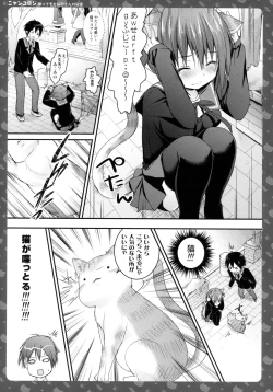 Page 11 of Nyancologysan No himitsu-