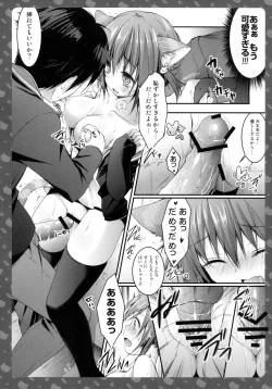 Page 18 of Nyancologysan No himitsu-