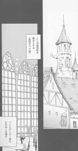 Page 29 of TuTu no Inori