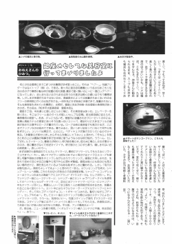 Page 251 of Manga Bangaichi 2009-01