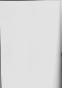 Page 2 of Soshite Boku wa Sono Suisen ni Miirareta.