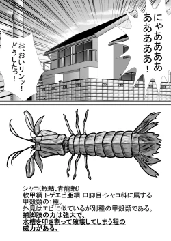 Page 17 of Chitsu Hakai-kei Joshi