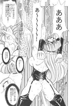 Page 143 of Shin Bishoujo Shoukougun 4 Houou hen