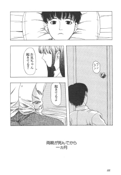 Page 22 of Shin Bishoujo Shoukougun 4 Houou hen