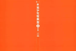 Page 2 of Shin Bishoujo Shoukougun 4 Houou hen