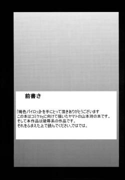 Page 3 of Kassyoku Pilot