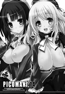 Page 2 of PICOMANI:14