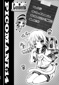 Page 3 of PICOMANI:14