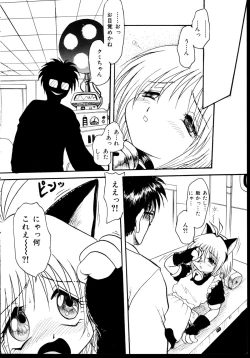 Page 21 of Shinseiki