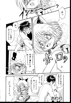 Page 33 of Shinseiki