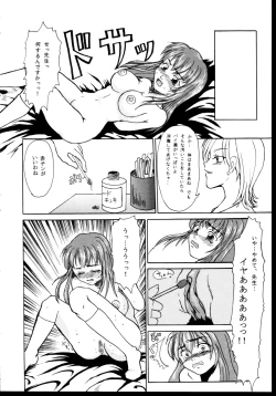 Page 69 of Shinseiki