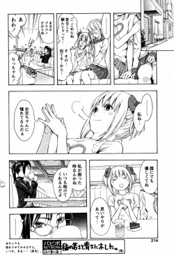 Page 211 of COMIC Papipo 2005-08