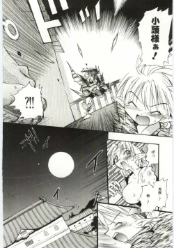 Page 27 of Young Paradise