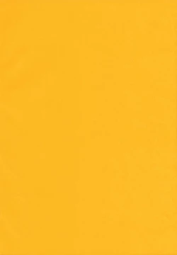 Page 232 of in Suru?