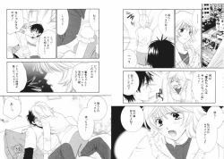 Page 13 of Tsubamegahama Triangle