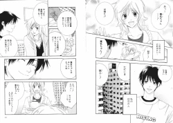 Page 8 of Tsubamegahama Triangle