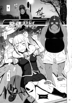 Page 2 of Hatsujou Stray Cat