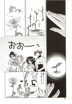 Page 38 of Poka Poka