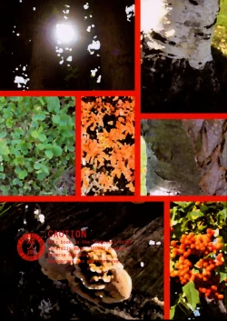 Page 23 of TOUHOU REC.