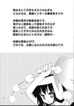 Page 4 of TOUHOU REC.