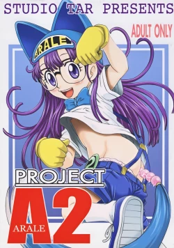 Page 1 of Project Arale 2