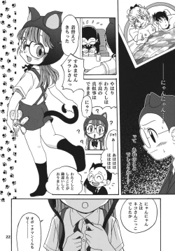 Page 22 of Project Arale 2