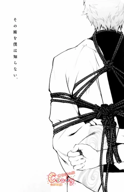 Page 2 of Sono Sube wo Boku wa Shiranai