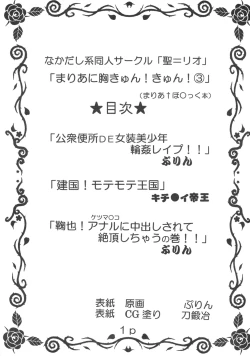 Page 2 of Maria ni Mune Kyunkyun Vol.3