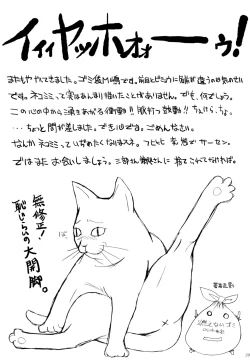Page 38 of Nekomi Mix