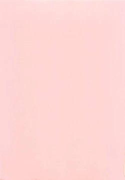 Page 3 of Peach Pudding