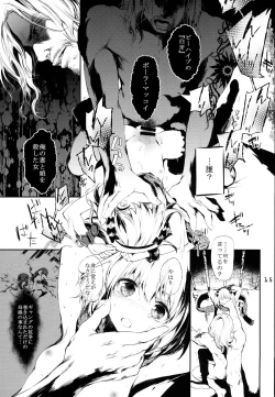 Page 14 of PL/RAY USA