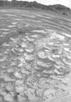 Page 31 of Moya●mon TALES OF DOPPELGANGER