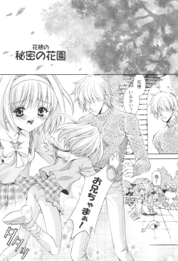 Page 2 of FLOWER BASE