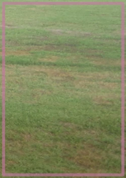 Page 17 of Futa×Shota