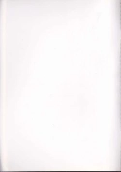 Page 2 of Dolce Rose