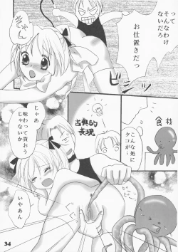 Page 33 of berry berry